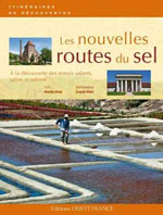 Les Routes du Sel en France