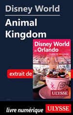 Disney World - Animal Kingdom