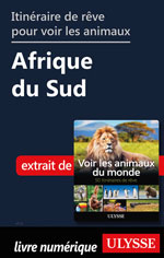 Itinéraire de rêve pour voir les animaux -  Afrique du Sud