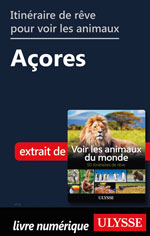 Itinéraire de rêve pour voir les animaux -  Açores