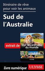 Itinéraire de rêve pour voir les animaux Sud de l