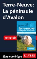 Terre-Neuve: La péninsule d