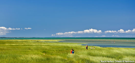Cape Cod