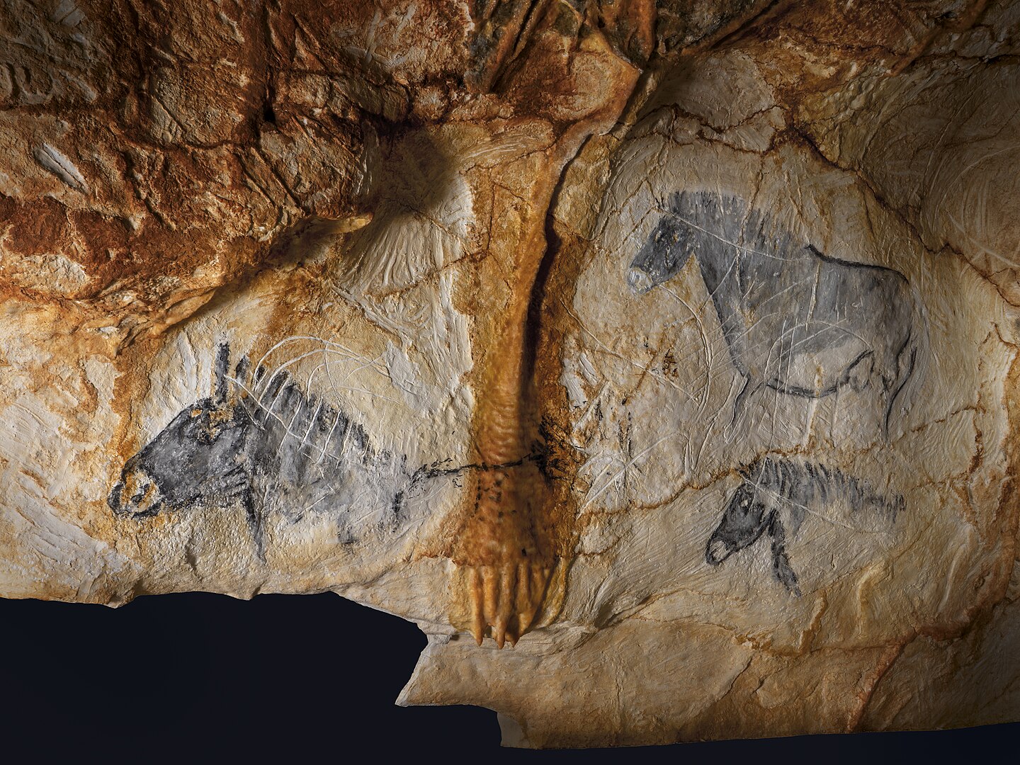 La reconstitution du panneau des chevaux de la grotte Cosquer. Par Kleber Rossillon & Région Provence-Alpes-Côte d’Azur / Sources 3D MC, CC BY-SA 4.0, 