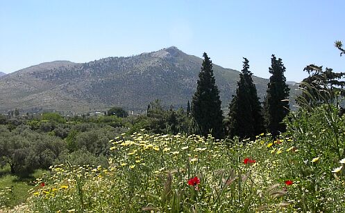Un champ près de Marathon, Grèce - Par Adam Carr — CC BY-SA 3.0