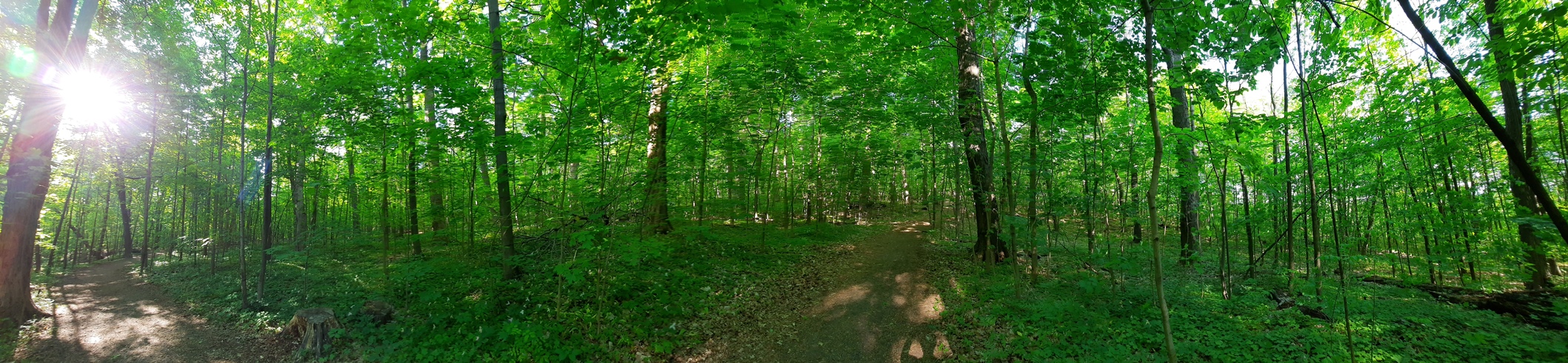 Le mont Royal