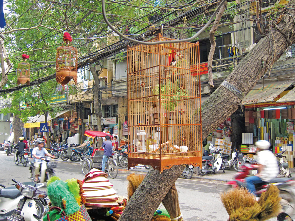 Le charme de Hanoi