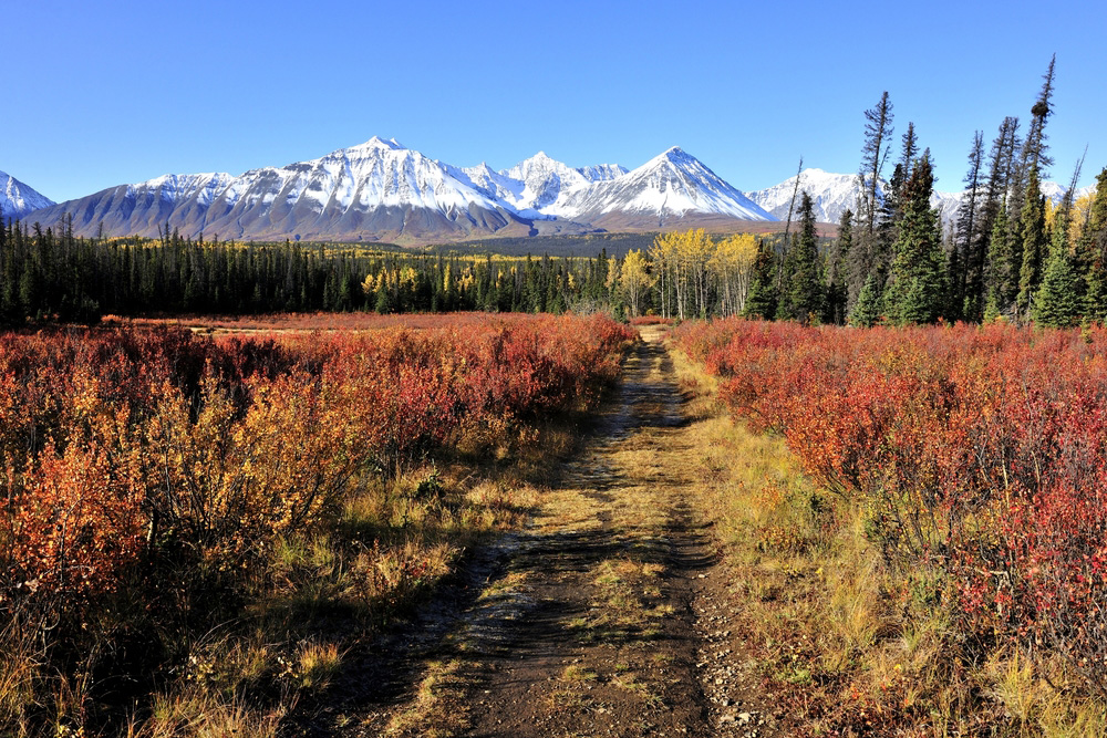 Parcs du Yukon et des Territoires du Nord-Ouest