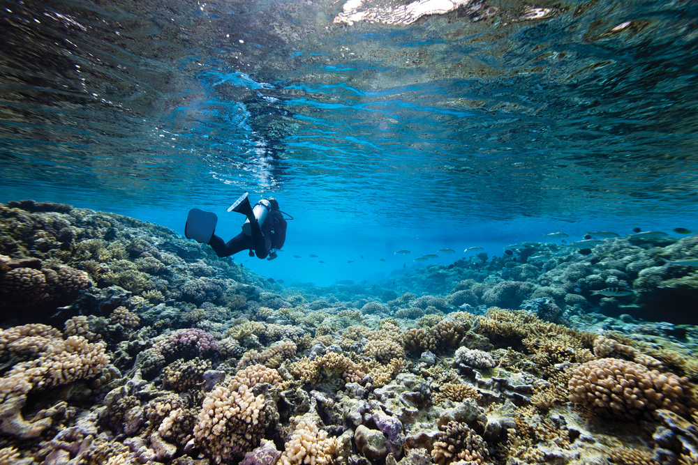 Attraits des Bahamas