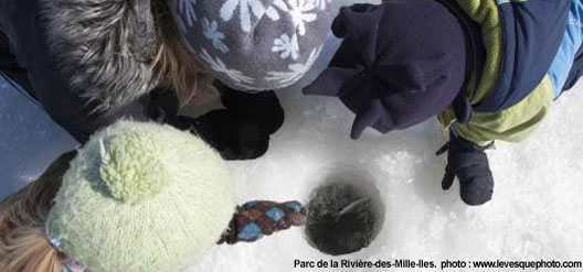 La blanche saison dans les parcs de Laval