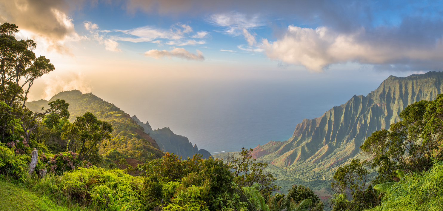 Les <em>kahunas</em> d’Hawaii