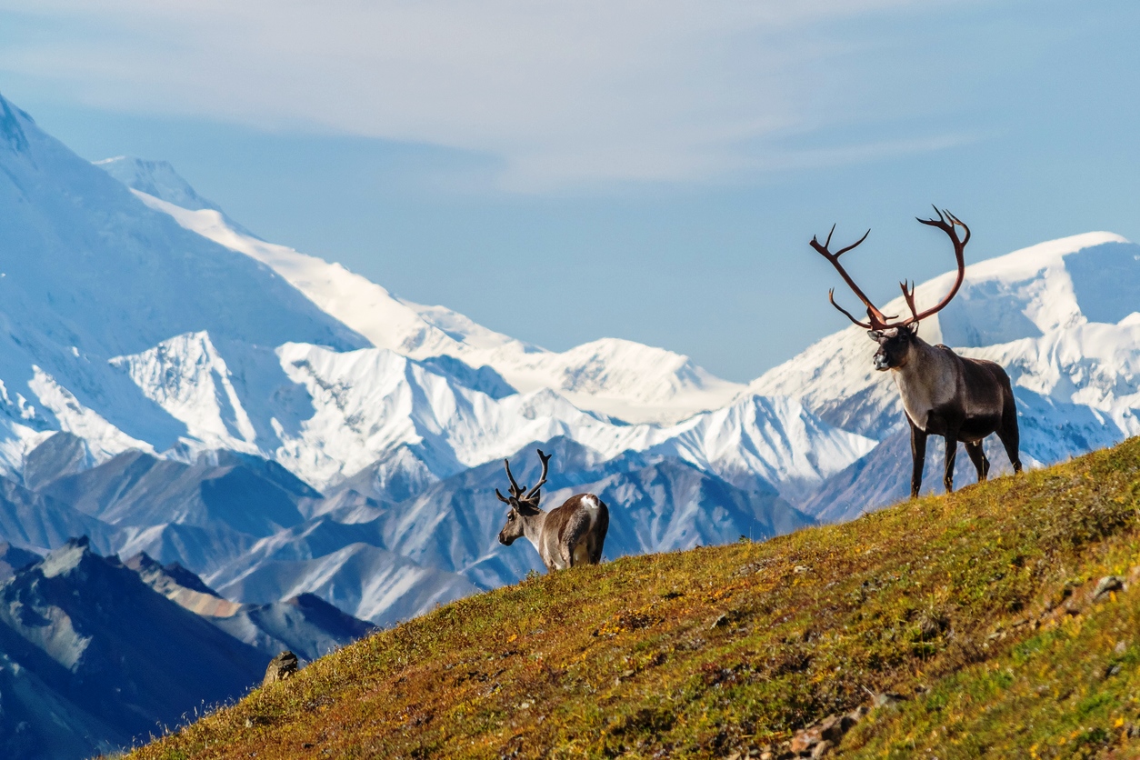 26 terrains de jeu en montagnes