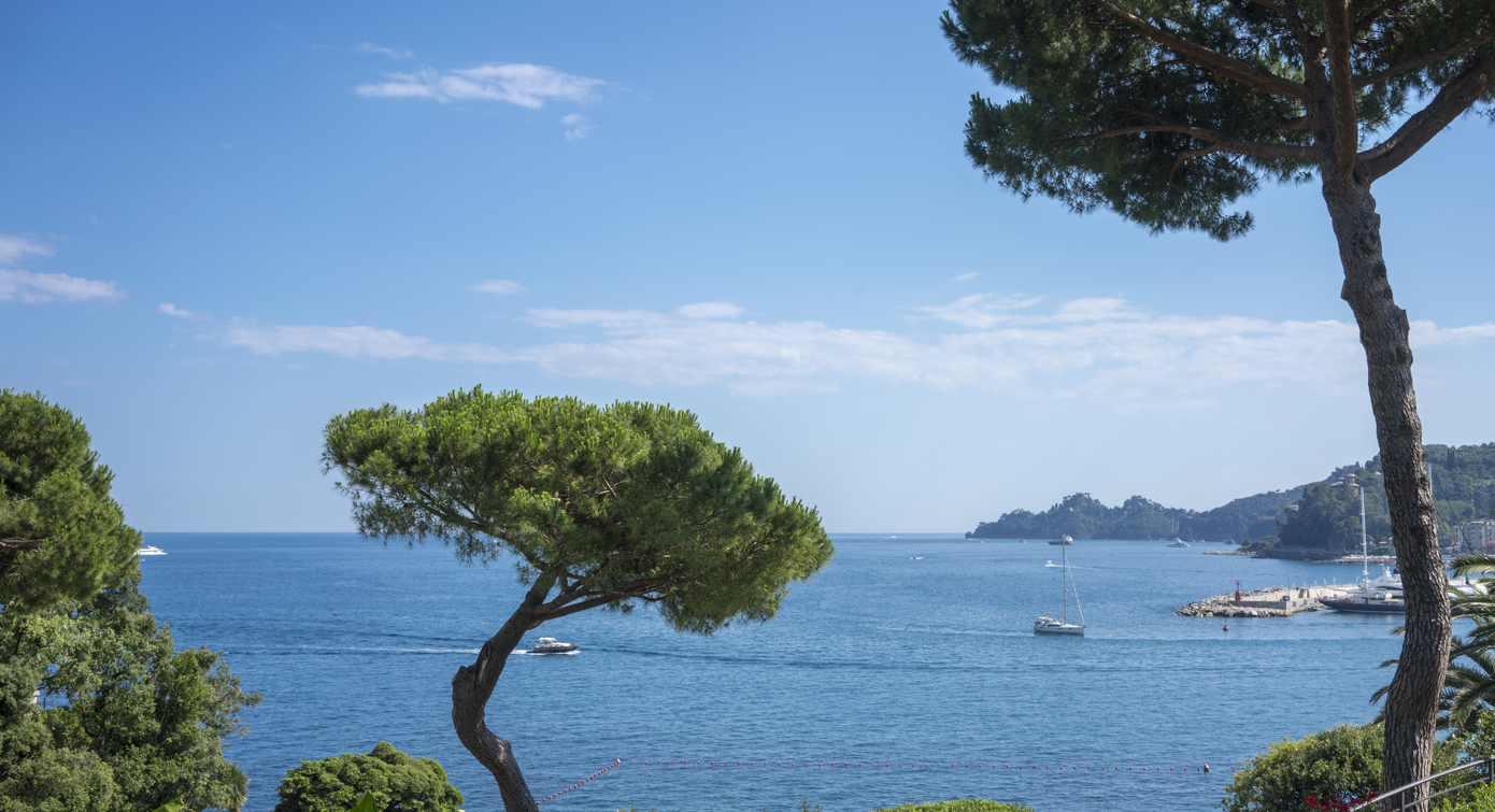 Le Sanctuaire Pelagos en mer de Ligurie
