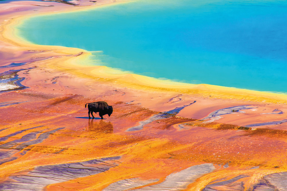 Le parc Yellowstone