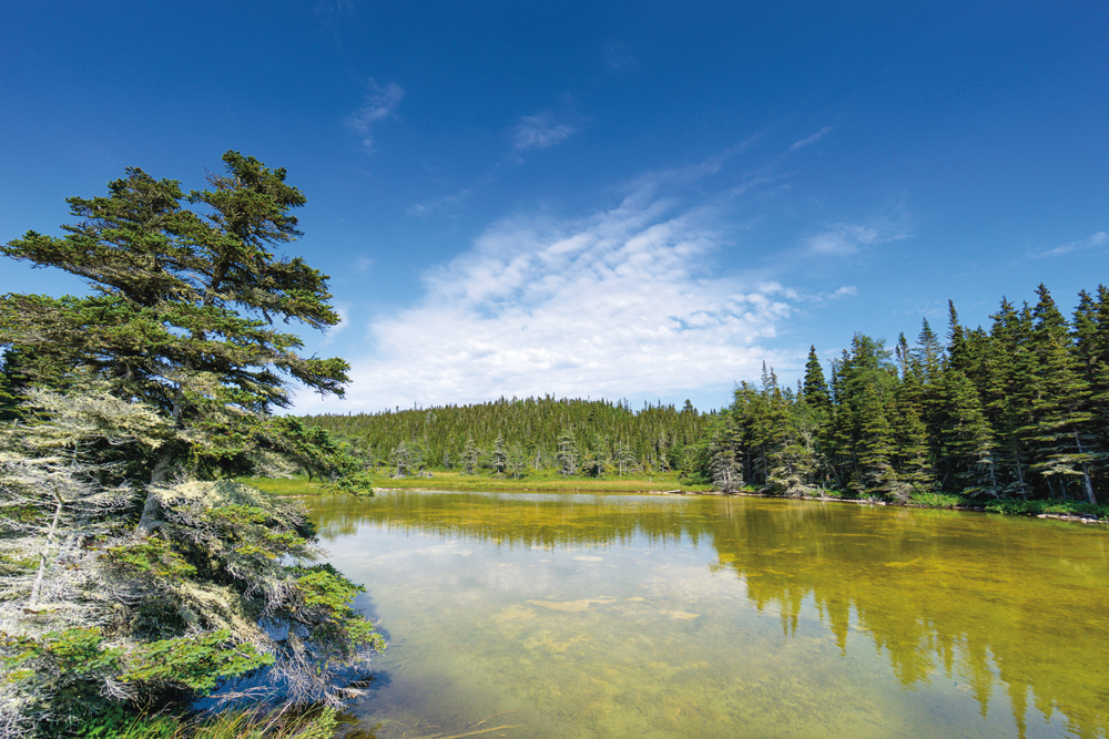 La réserve de biodiversité Uapishka