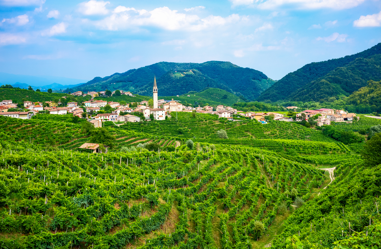 À boire dans le Veneto!