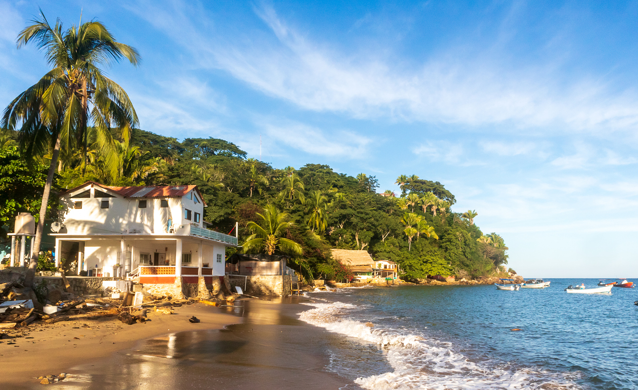 La faune de la baie de Banderas