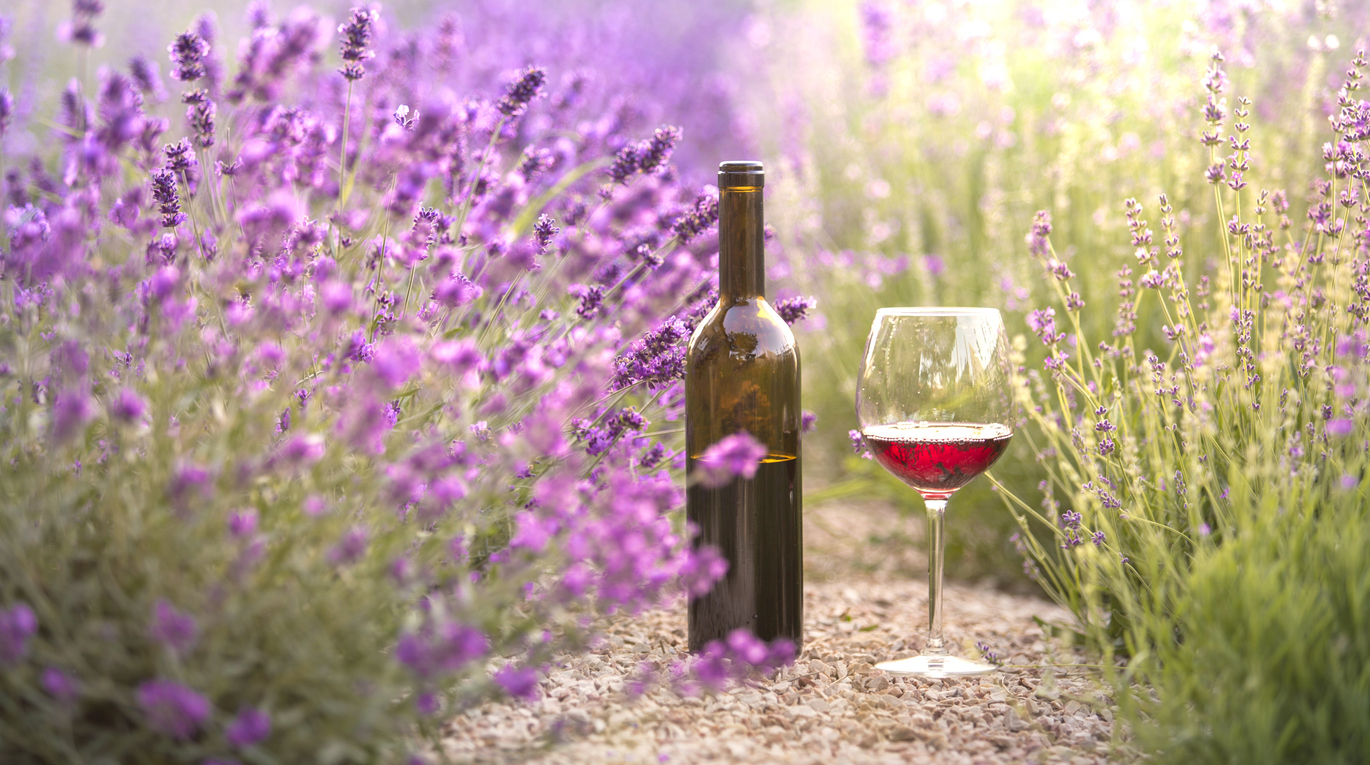 Les grands vins de Bandol
