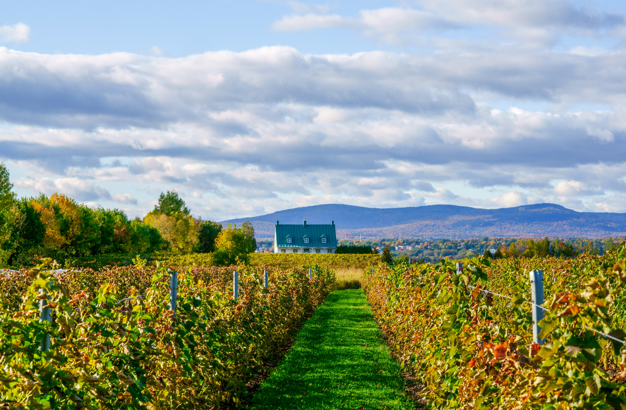 Grand-Pré, son histoire et ses paysages