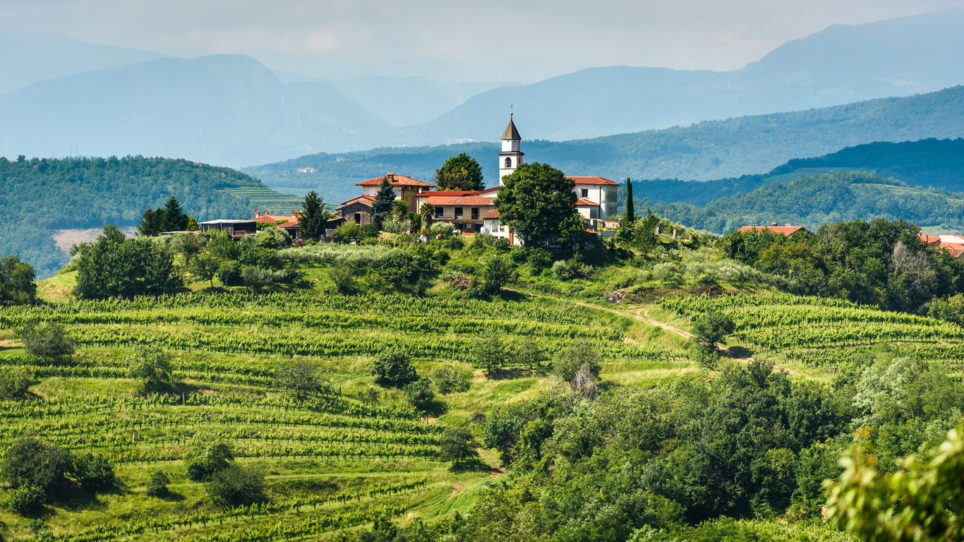 Martinovanje, le jour de la Saint-Martin
