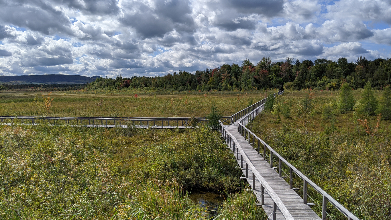 Réserve écologique des Tourbières-de-Lanoraie