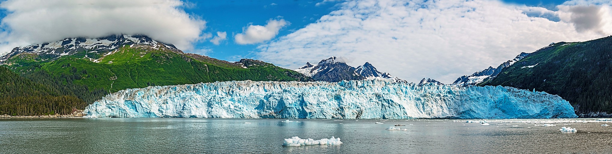 Les glaciers côtiers