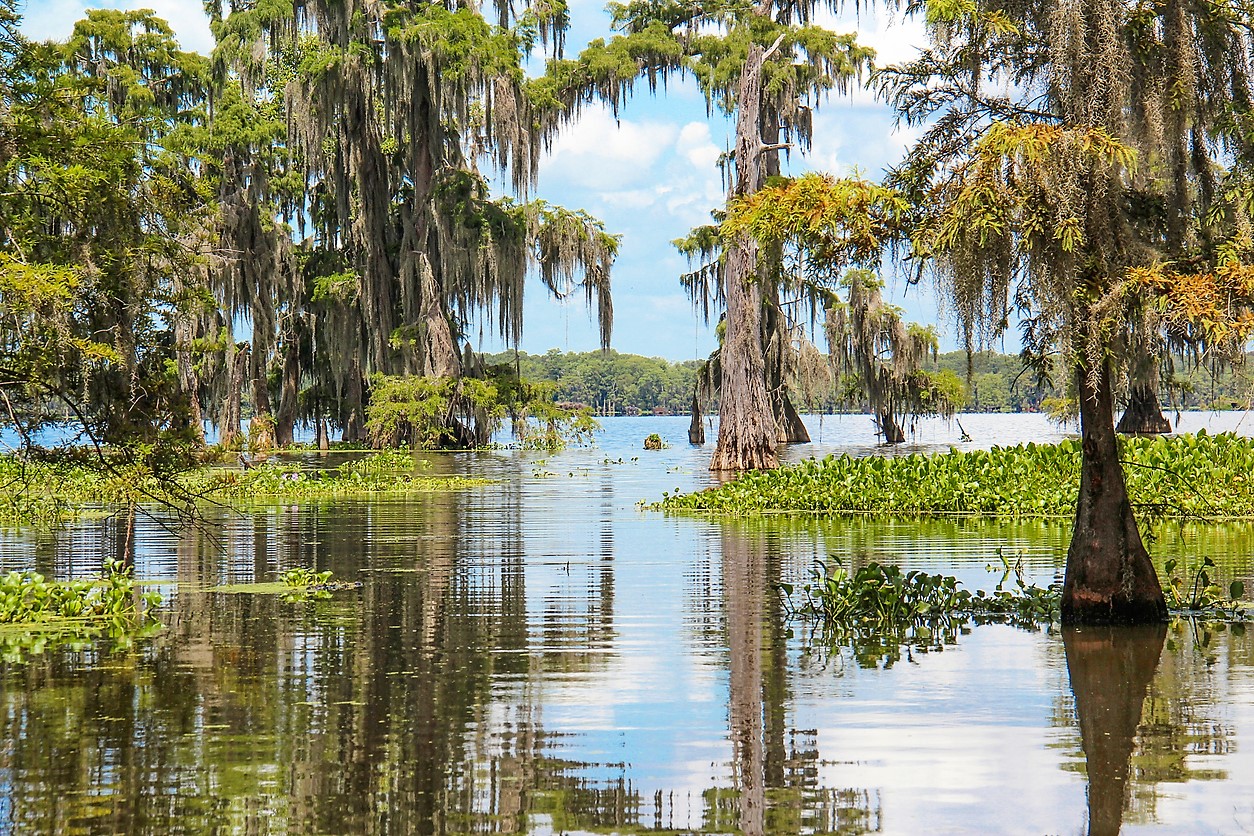 Climat de la Louisiane