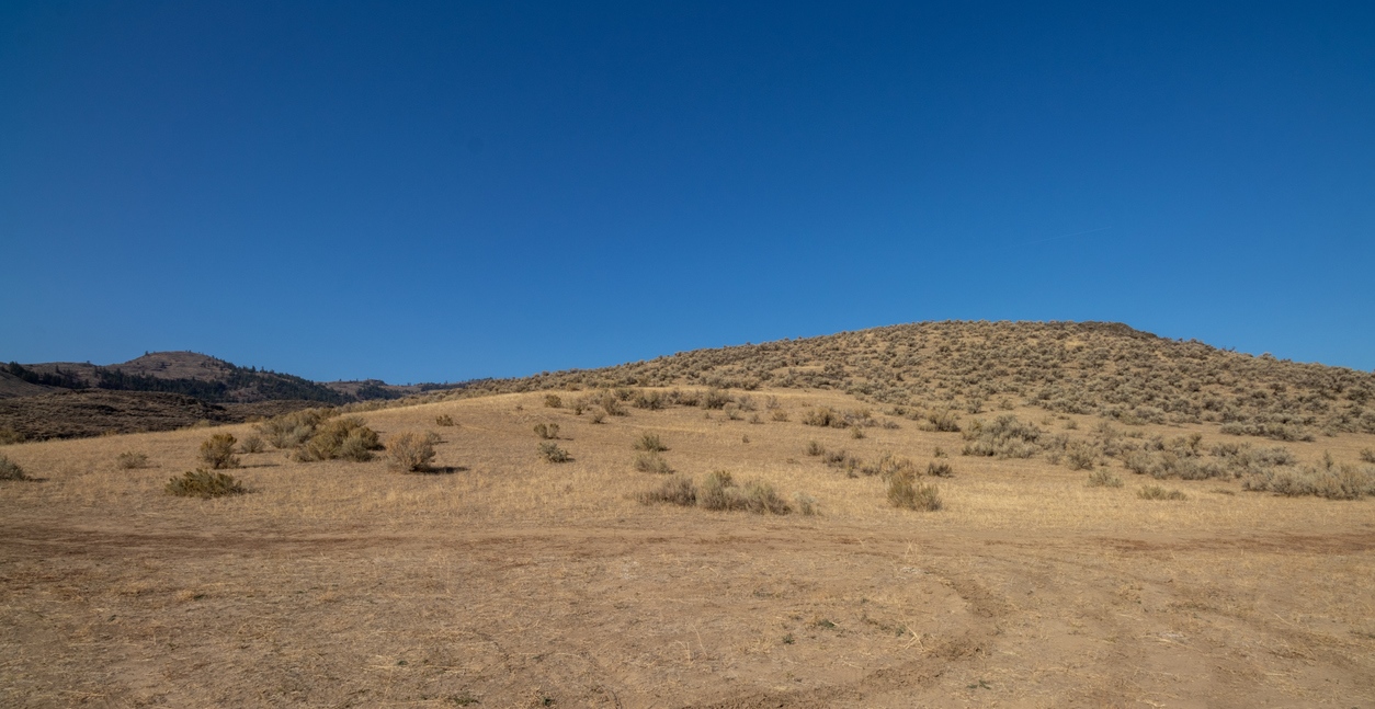 Osoyoos, le désert canadien