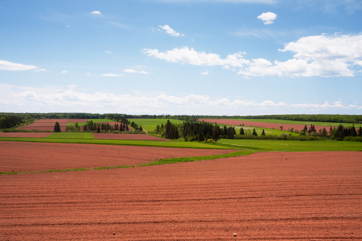 De la terre rouge à l’Île-du-Prince-Édouard