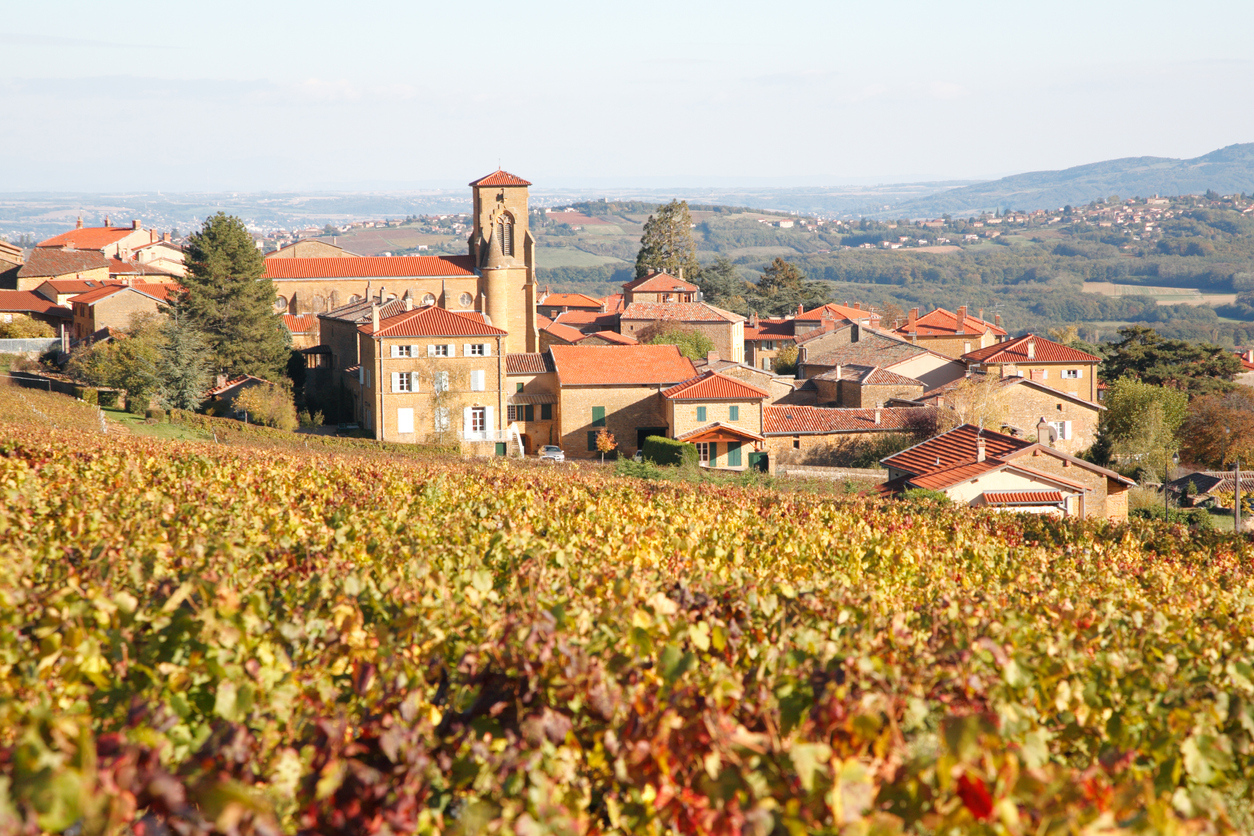 Le Beaujolais