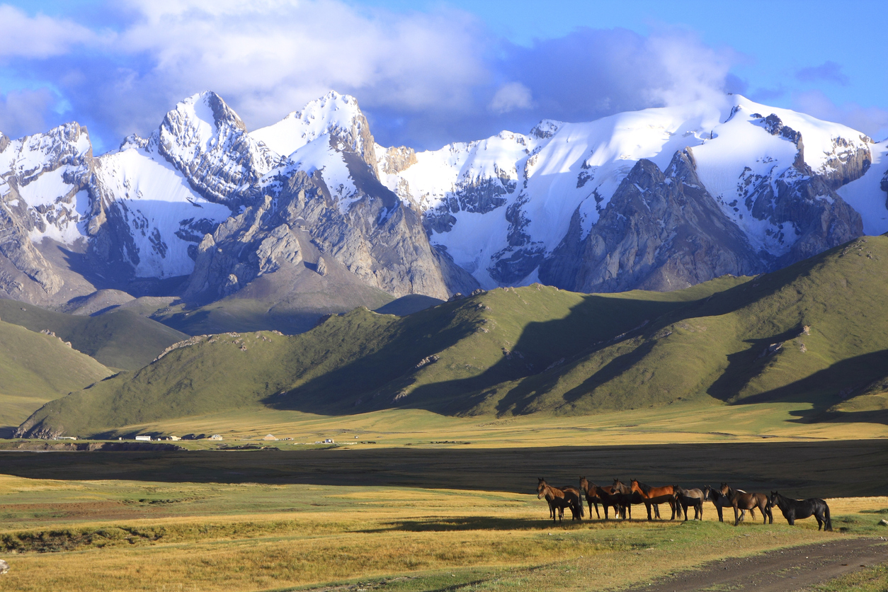 Nomades à cheval