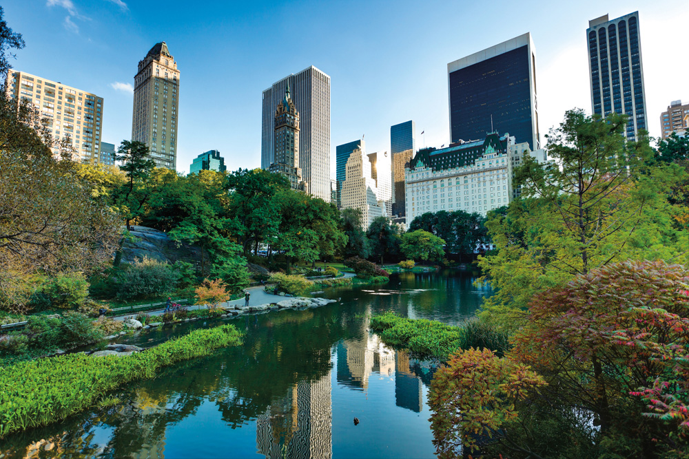 Central Park et ses environs