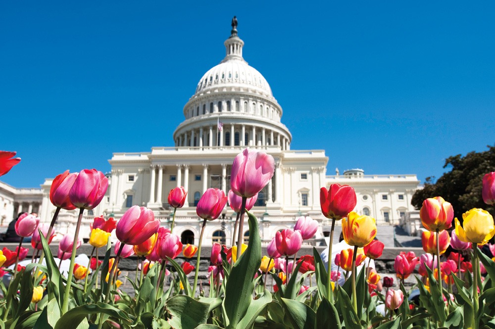 Capitol Hill, Washington