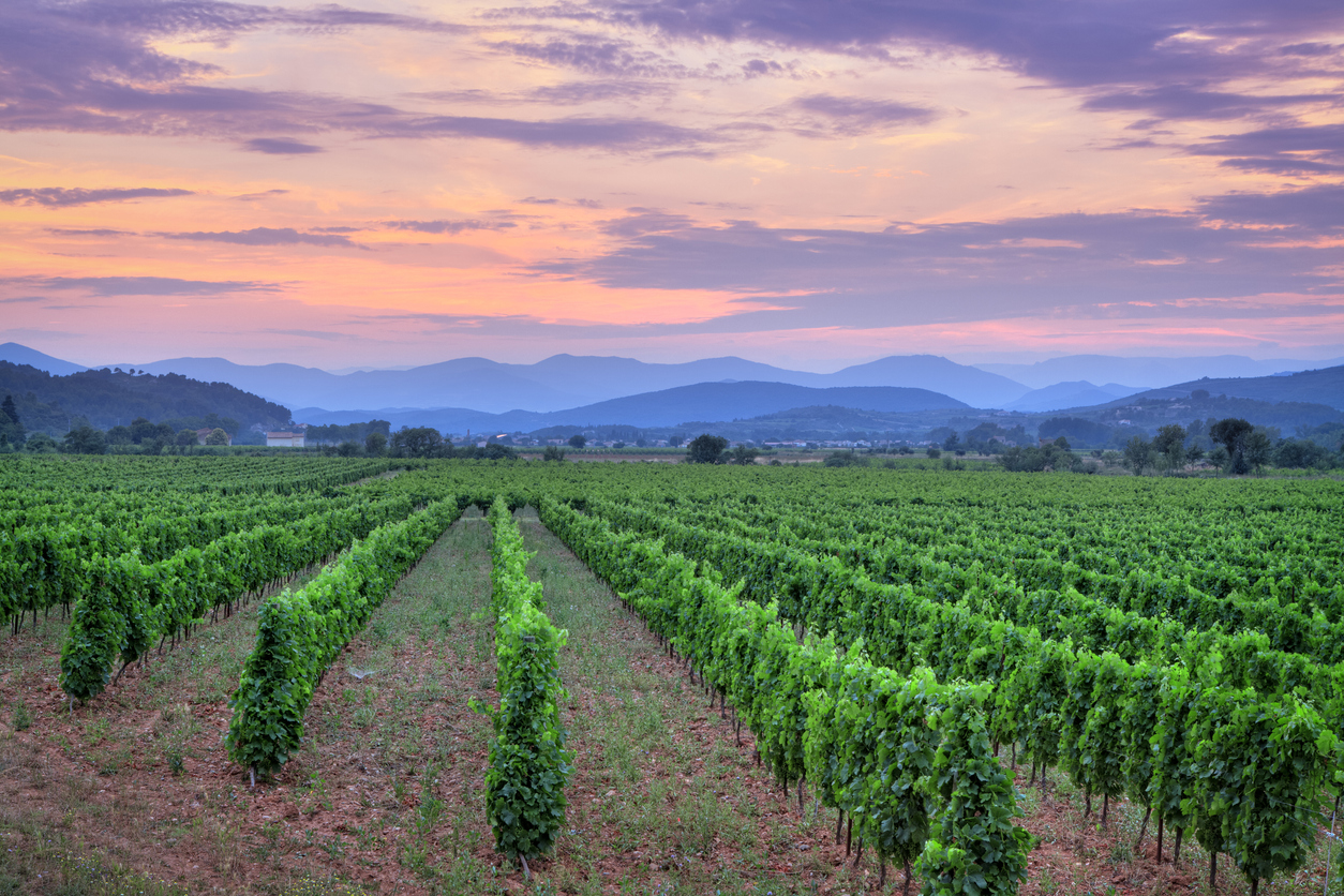 Tourisme de terroir dans le Roussillon