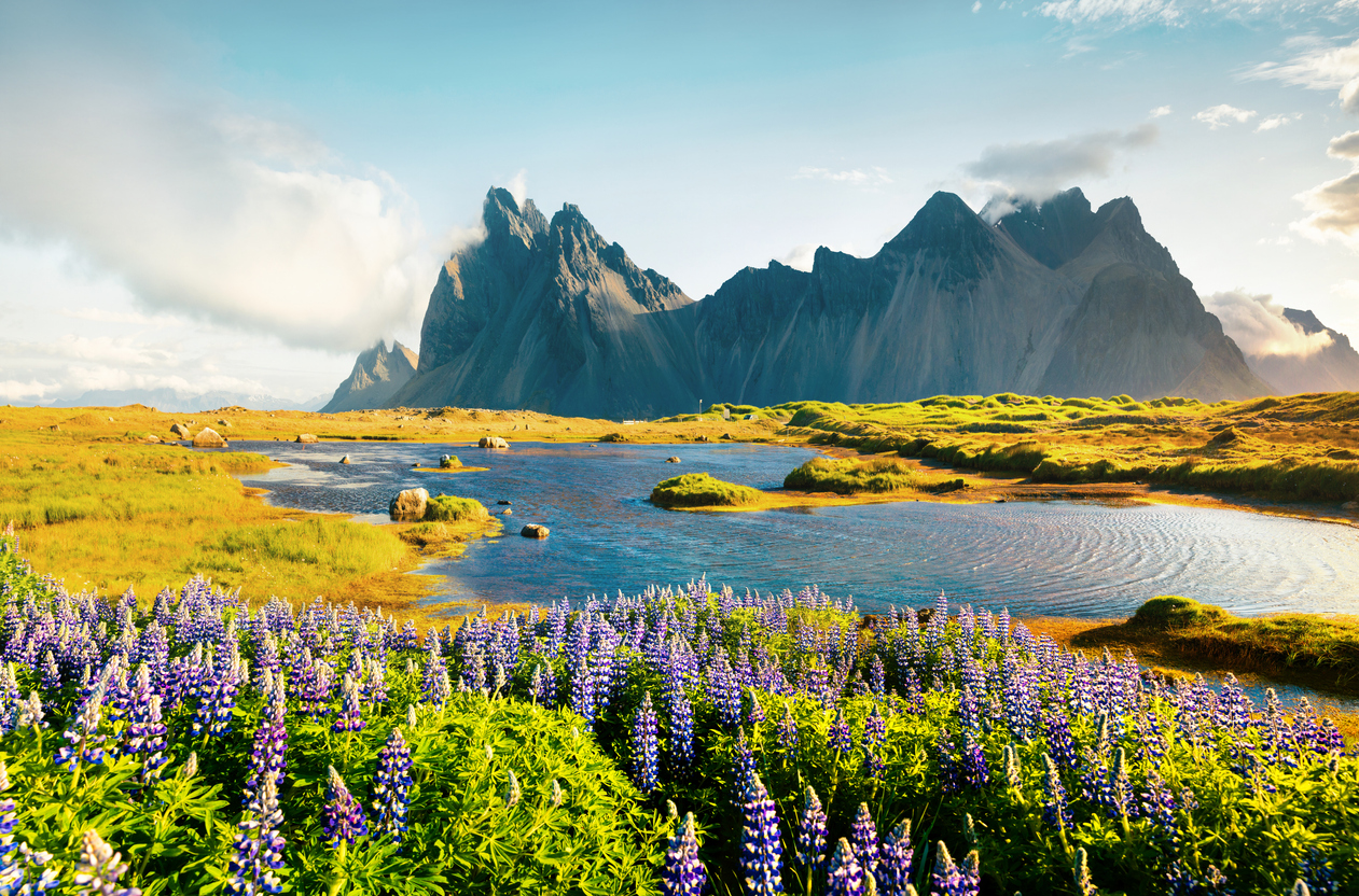 L’Islande à la carte