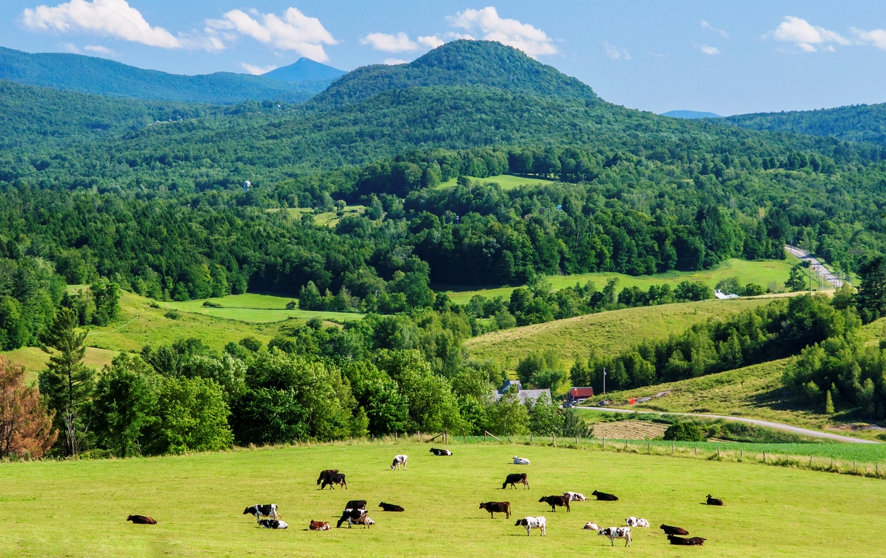 Les fromages du Vermont