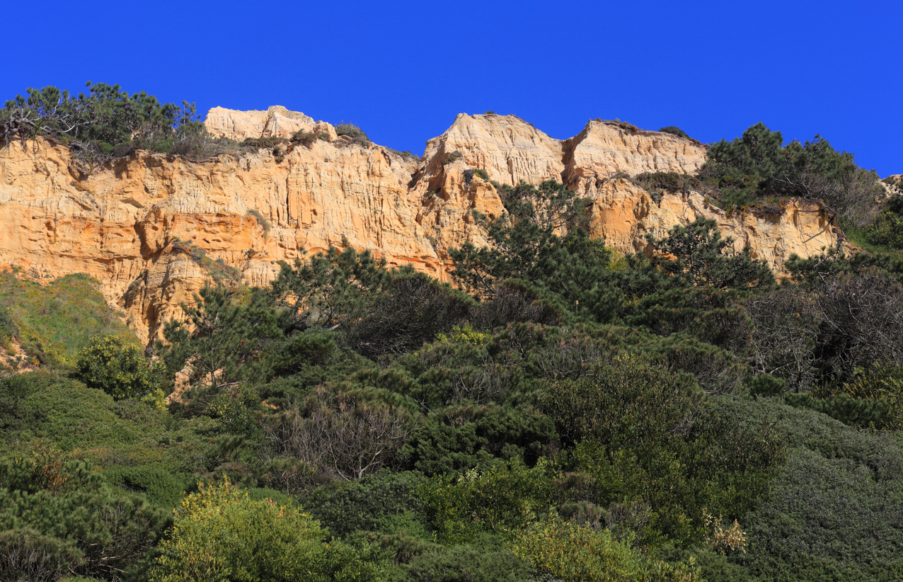 Paisagem Protegida da Arriba Fóssil da Costa da Caparica