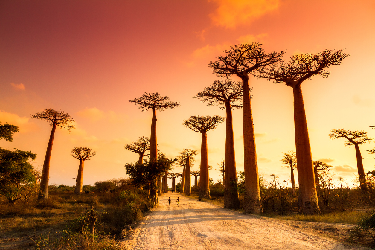 Madagascar, pays du mora mora