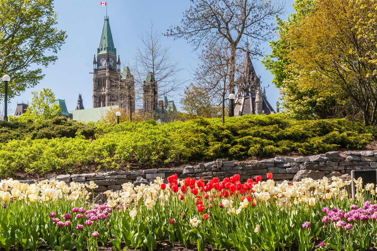 14 week-ends culturels et festifs au Québec et en Ontario