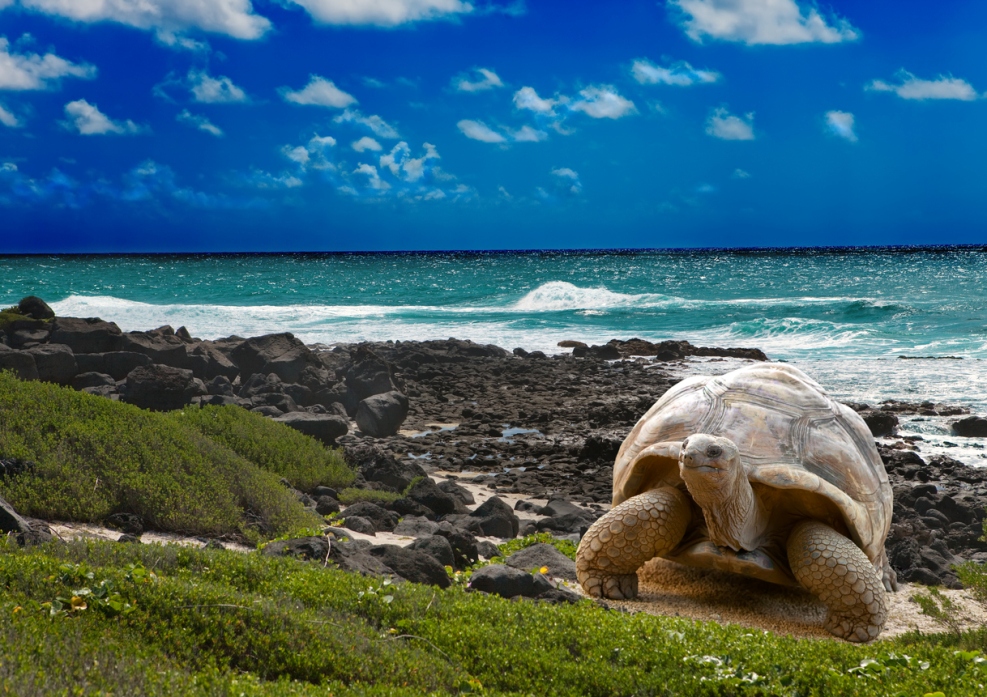 Au Galápagos, des îles aux noms multiples