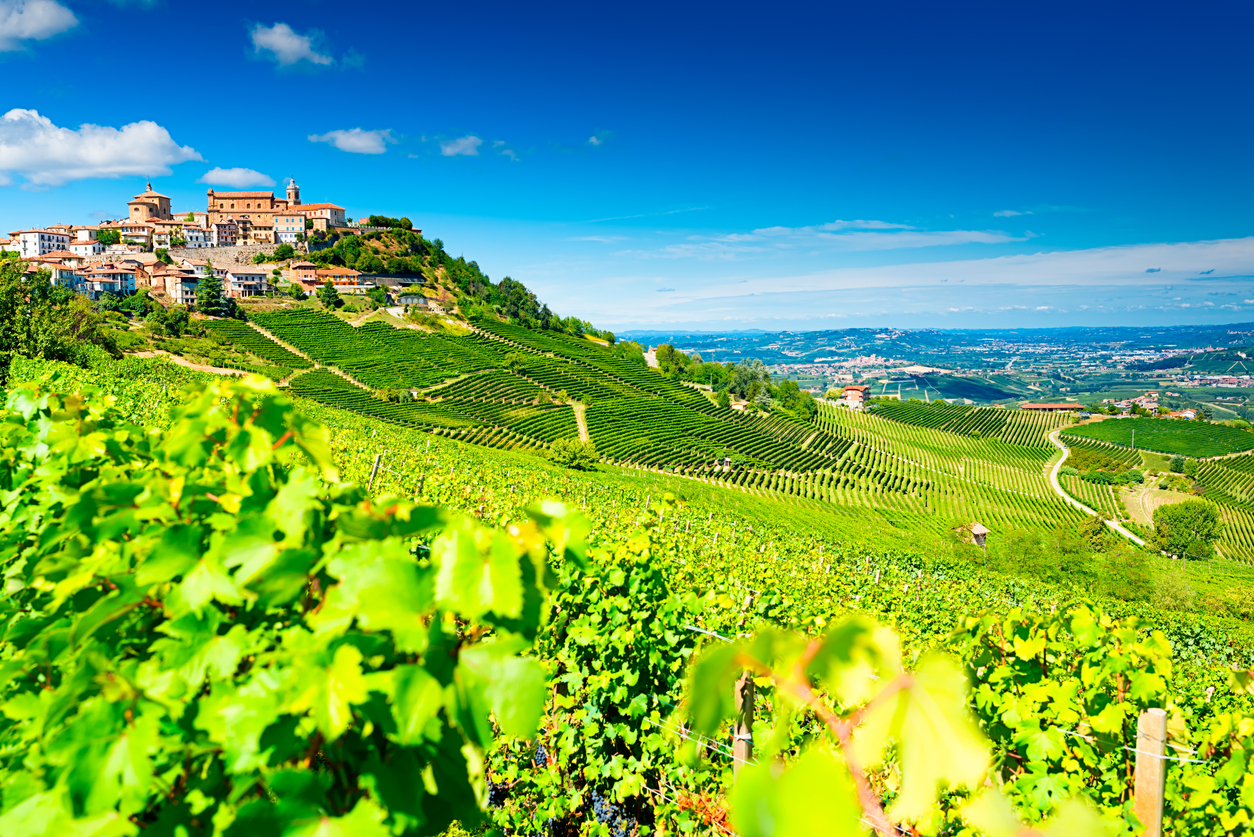 The Grand Wine Tour