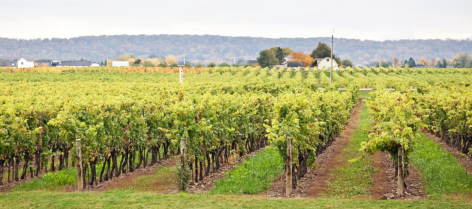Les appellations de la péninsule du Niagara