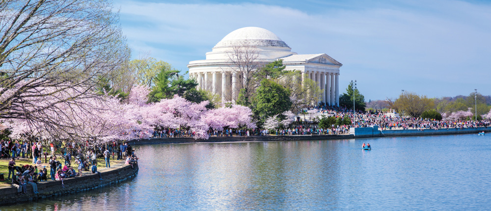 Washington D.C.