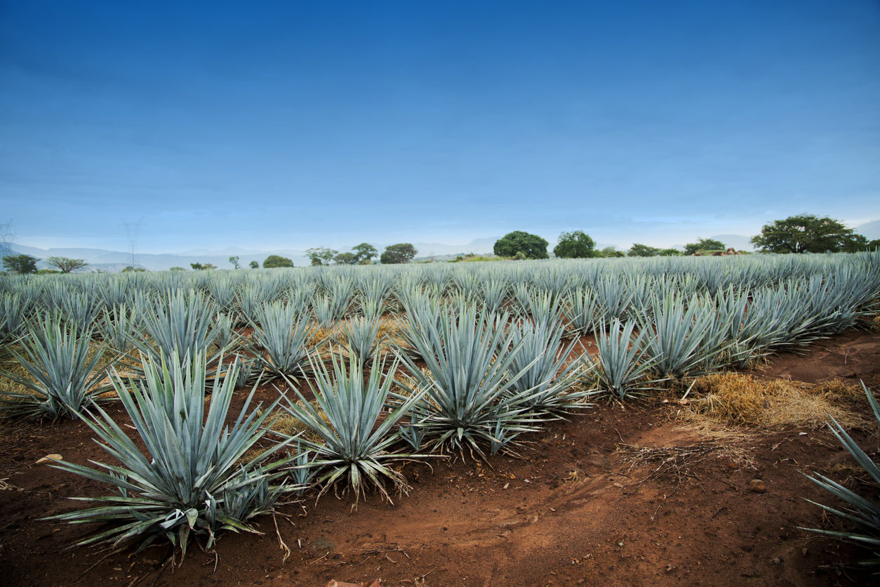 Destinations soleil: Mexique et Amérique centrale