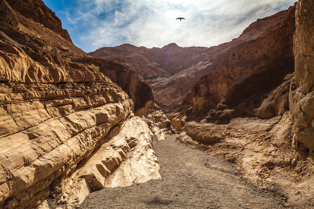 Death Valley Scotty