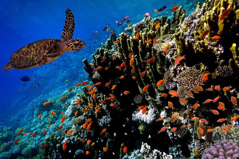 Parcs de Bonaire