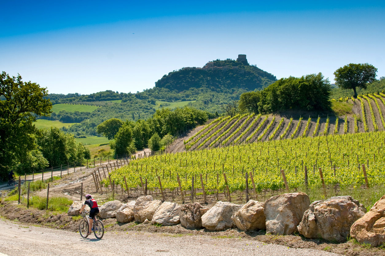 Toscane, terre de vignes