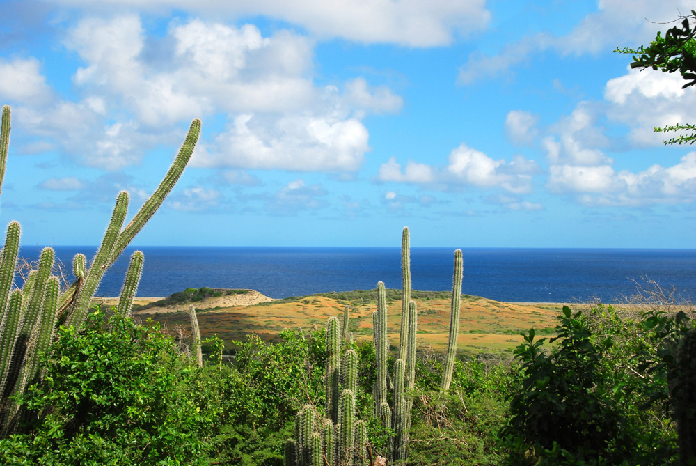 Les parcs de Curaçao