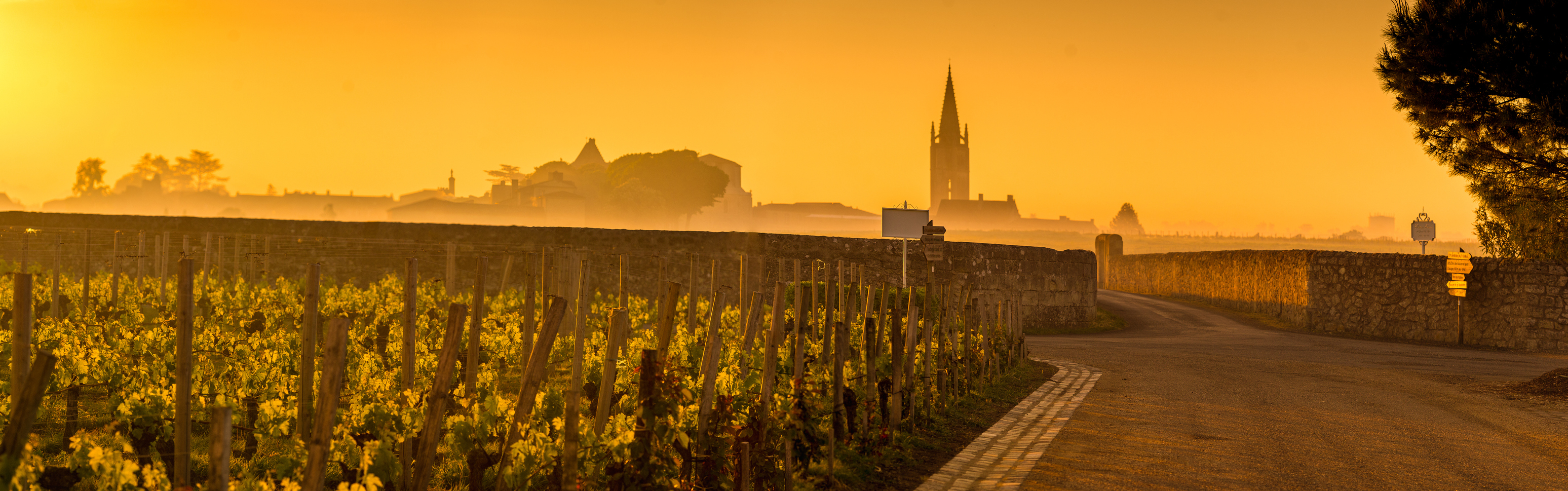 Les châteaux et vignobles bordelais et les cinq routes du vin de Bordeaux