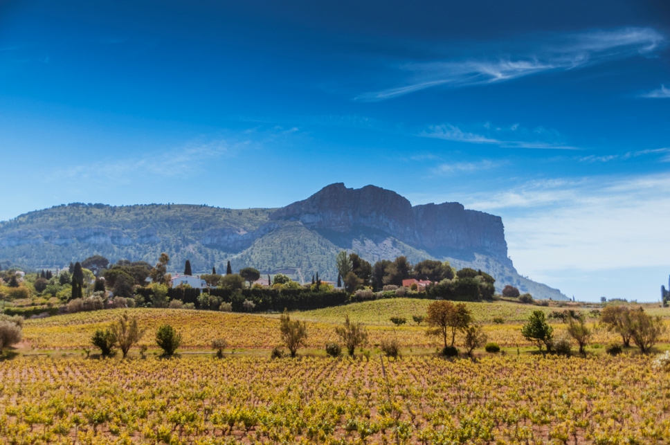 Cap Canaille et le vin de Cassis